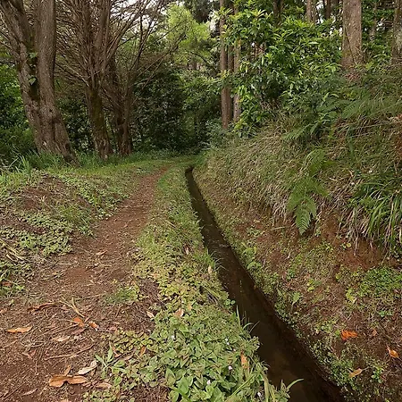 Casa Do Miradouro 4* Понта-ду-Сол